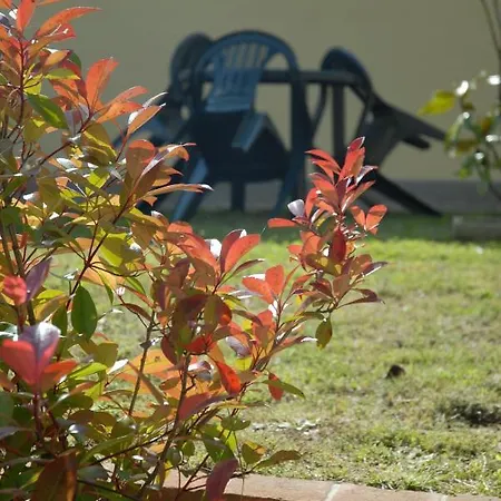 Appartement Marron Bono Castel del Piano (Tuscany)